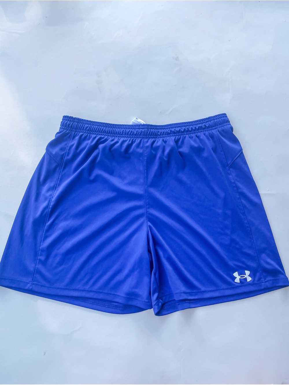 Under Armour women’s Royal Blue HeatGear Shorts Large - Picture 1 of 6